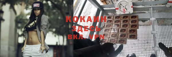 бошки Армянск