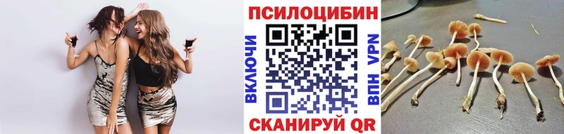 Галлюциногенные грибы MAGIC MUSHROOMS  Купить где  Сусуман 